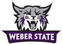 Weber Team